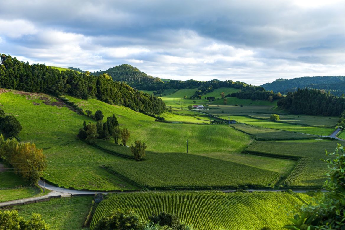 Green Country Fields Landscape